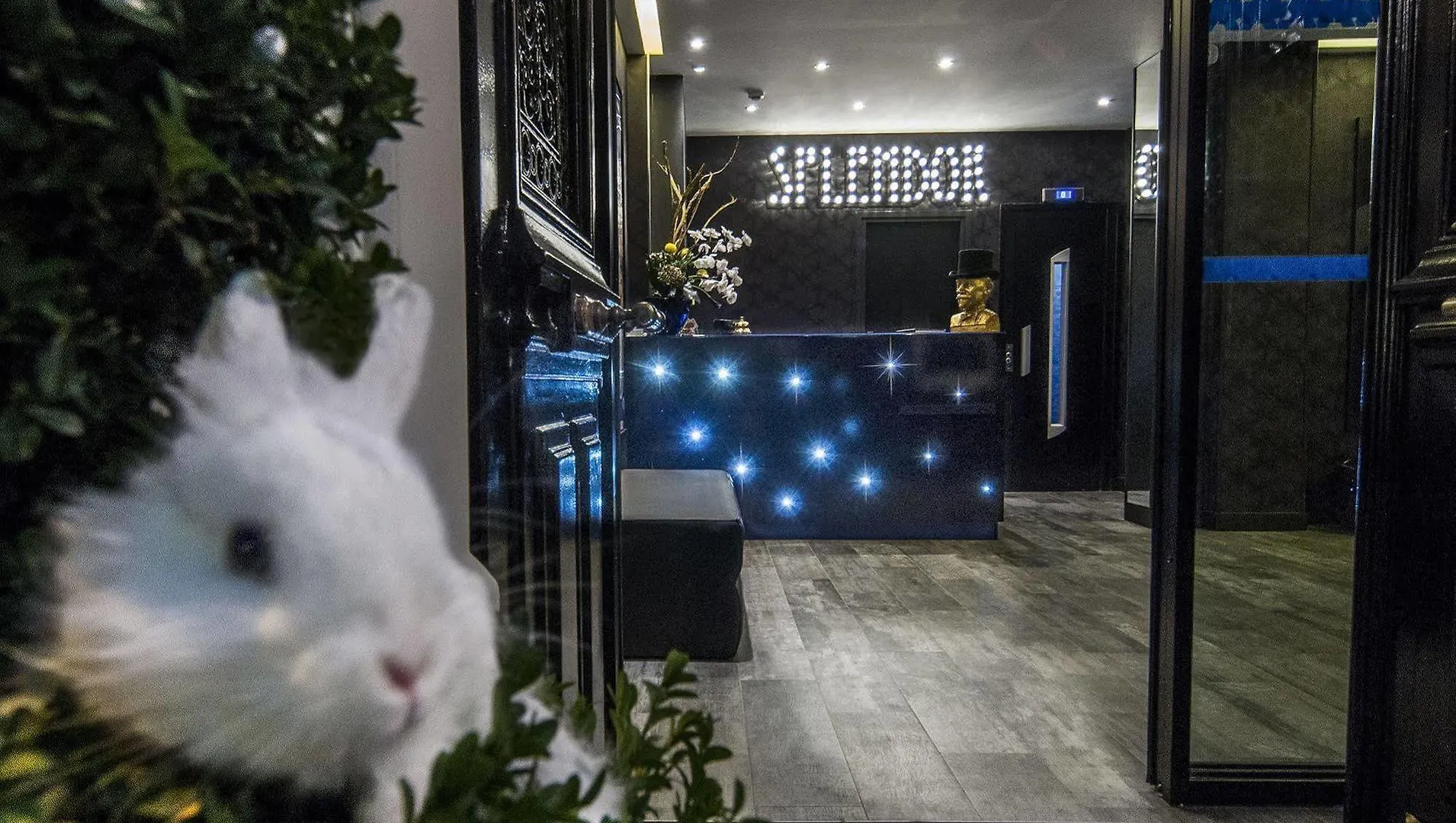 Hotel Splendor Elysees 3*